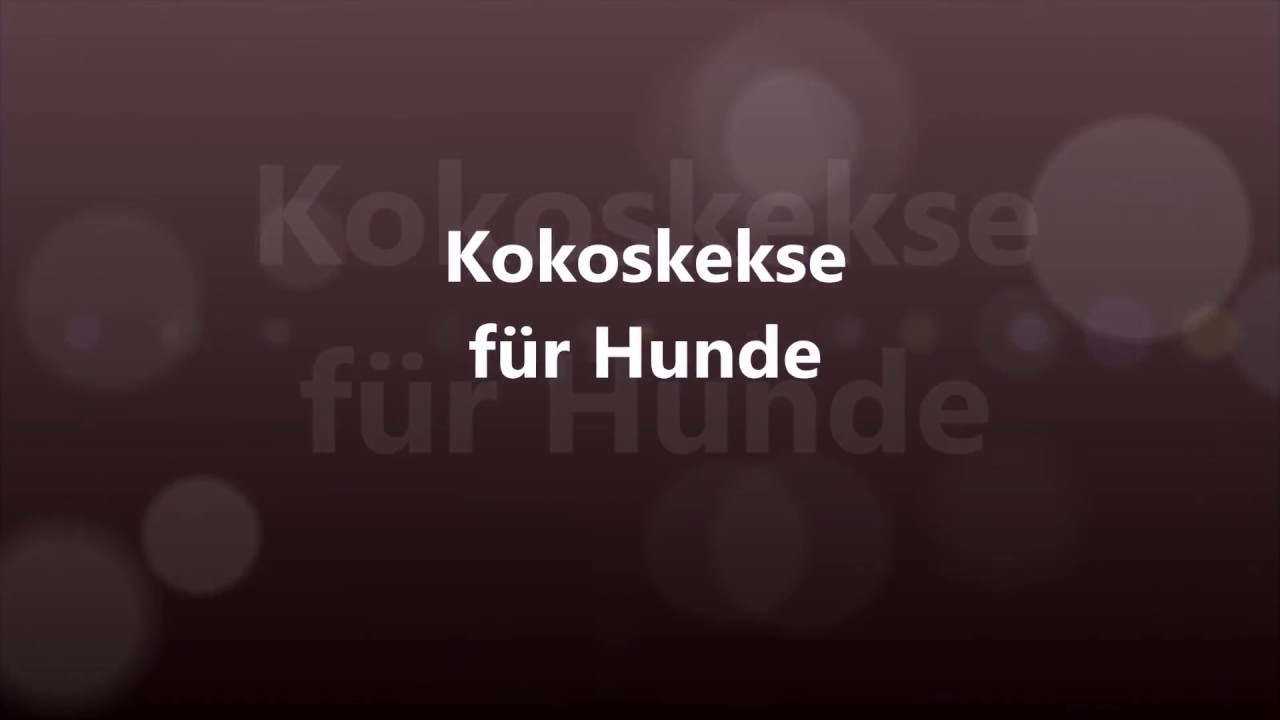 Hundekekse aus Kokos selber machen | ALLES RUND UM DEN HUND