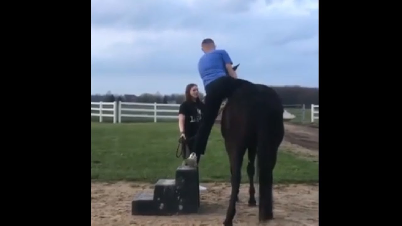 Guy Gets Bucked Off Riding A Horse For The First Time