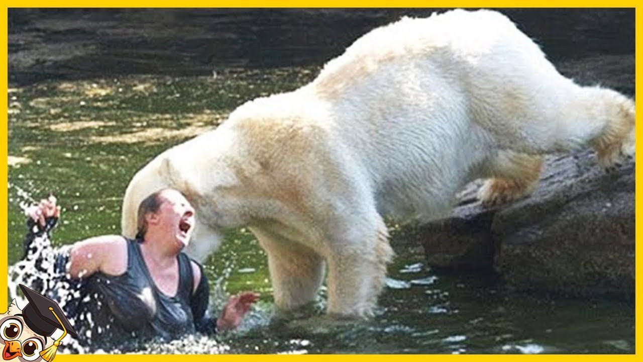 Les 10 Personnes les plus Stupides du Zoo