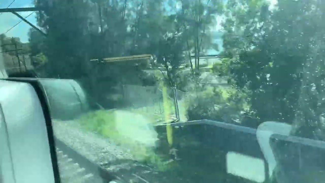 This is a trip from Woy Woy to Gosford on a 10 car Mariyung D set the train is going to Newcastle ￼