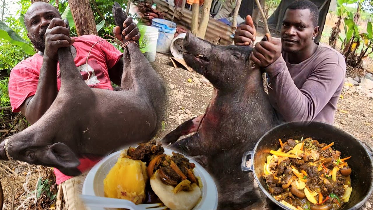 the most terrifying wild boar attack catch clean and cook brown stew curry