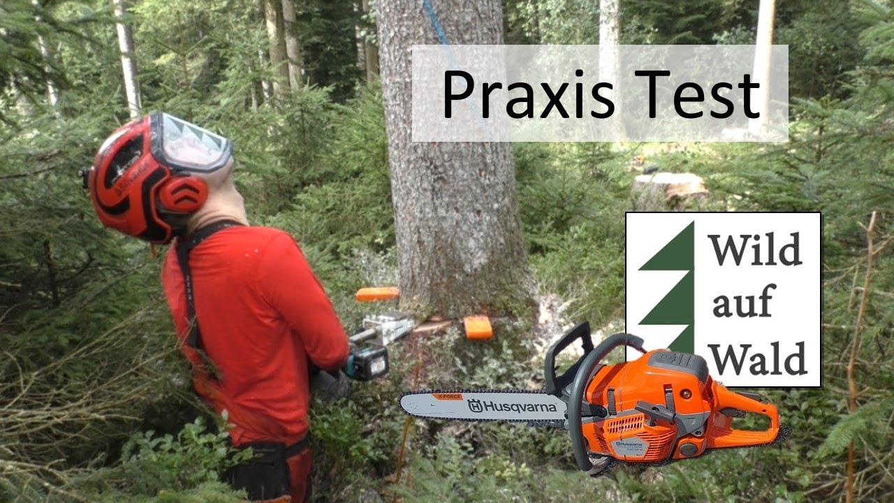 🌲EXTREM Test: 4x Fichten Fällung (Rückhänger) mit Makita und Forstreich #wildaufwald