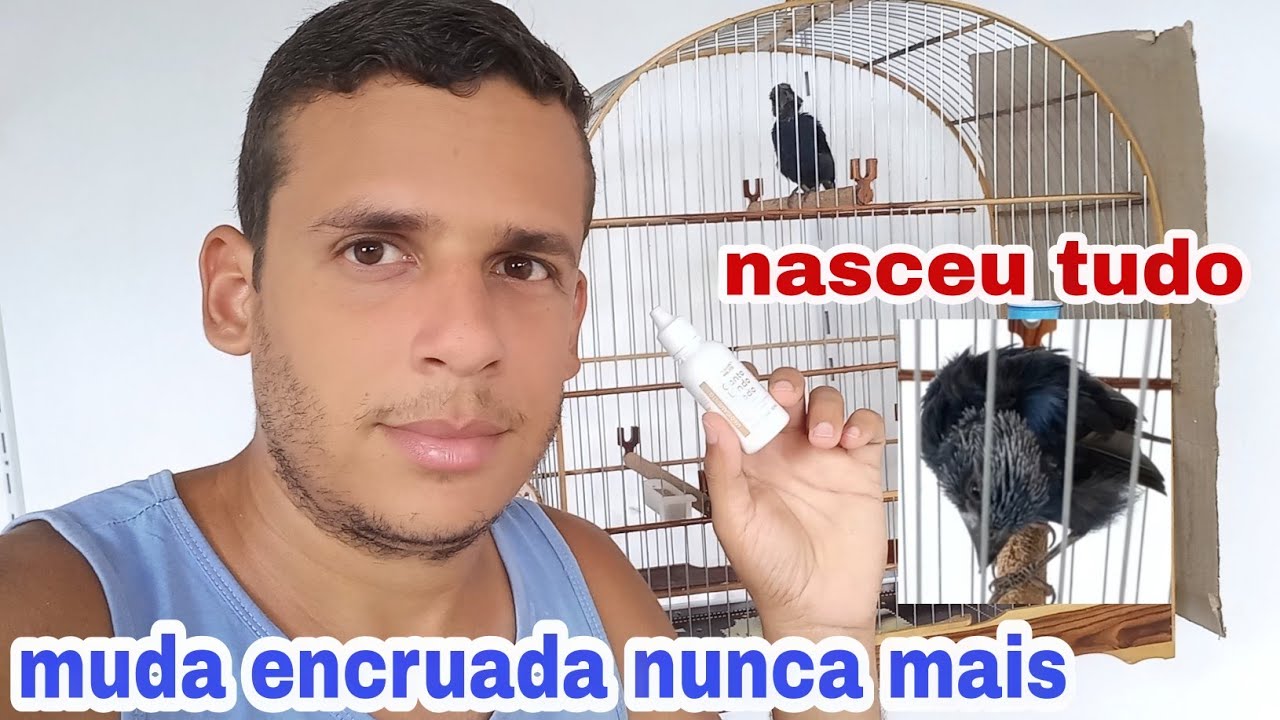 p&aacute;ssaros com muda encruada. como tratar de forma simples