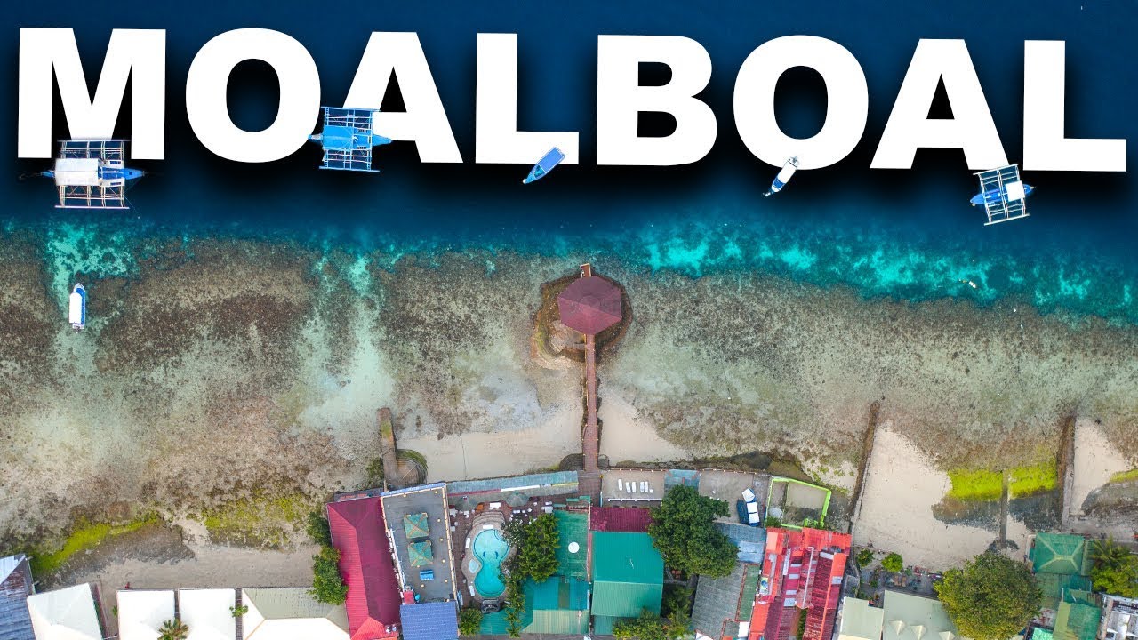 Philippines Best FREE Snorkelling Experience | Moalboal Sardine Run