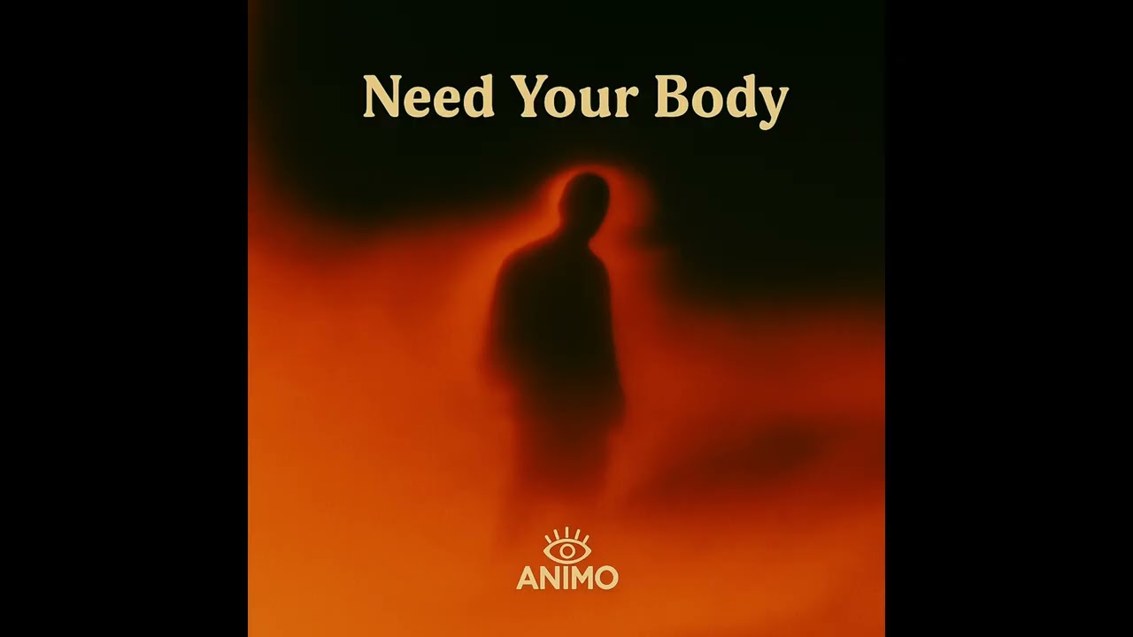 Need Your Body - Animo