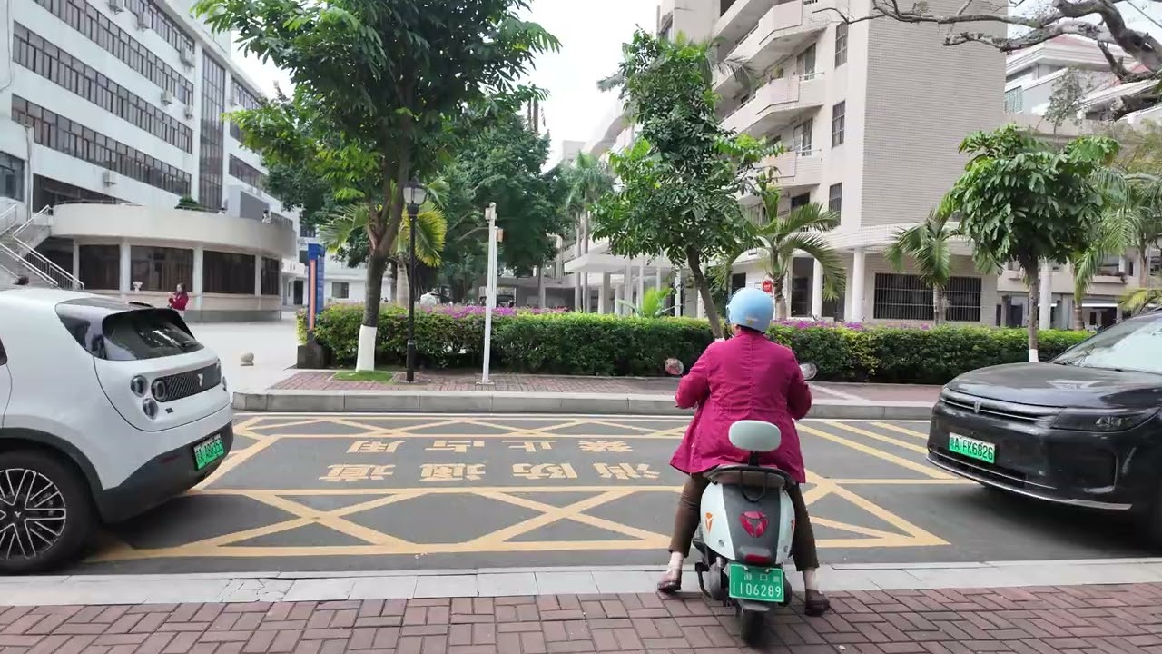 跨越时光的相拥：重返海南中学，在凤栖梧桐下，赴一场迟到的18岁之约！