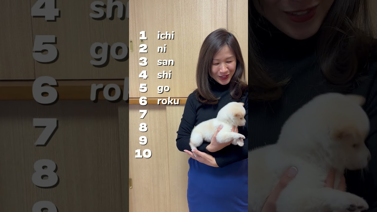 Let&rsquo;s count from 1 to 10 in Japanese 🇯🇵