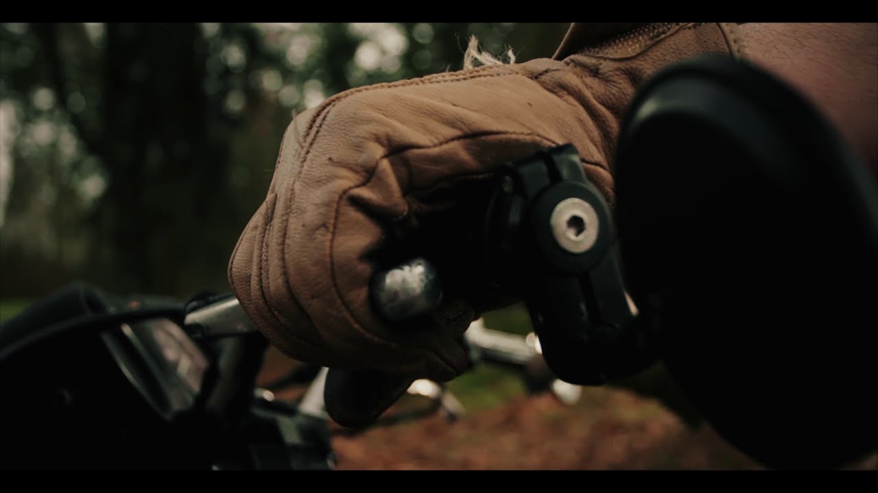 Biotoop shorts #4 - BPM & RPM