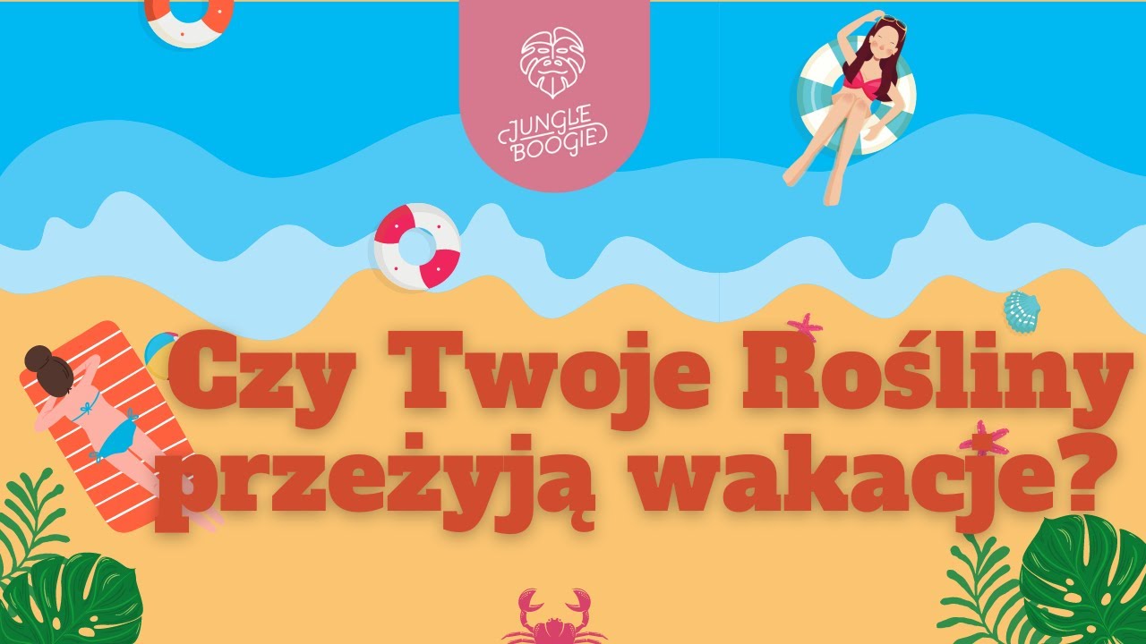 PIELĘGNACJA ROŚLIN LATEM - wilgotność powietrza, szkodniki... Co zrobić z roślinami podczas urlopu?
