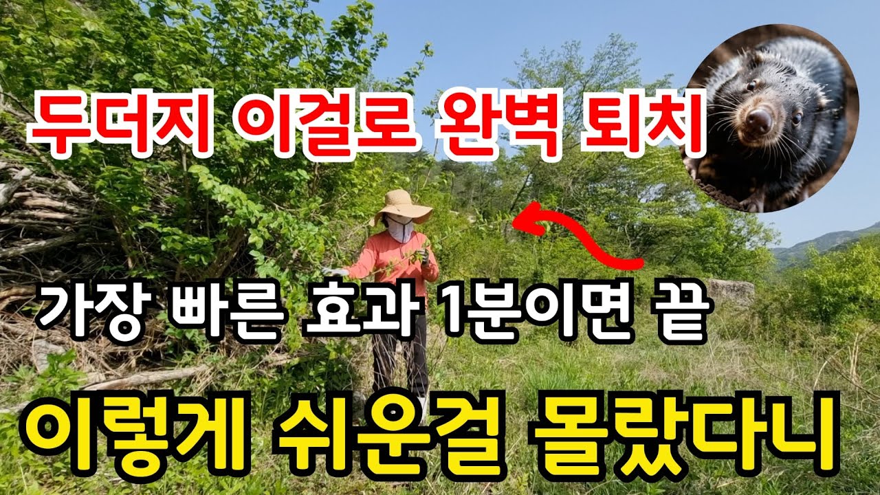 두더지퇴치 딱 1분으로 끝내세요 이것만큼 확실한 방법은 없습니다 #주말농장 #귀농 #귀촌 #gardening #garden #전원주택 #힐링 #건강 #텃밭 #농사  #시골 #채소