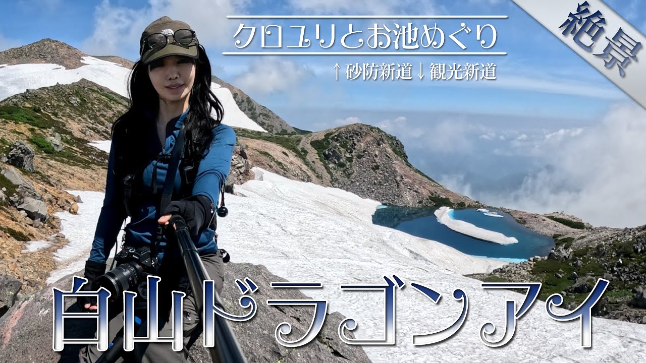 【登山Vlog】白山翠ヶ池ドラゴンアイ -  紺碧ブルーの絶景お池めぐり　クロユリと高山植物
