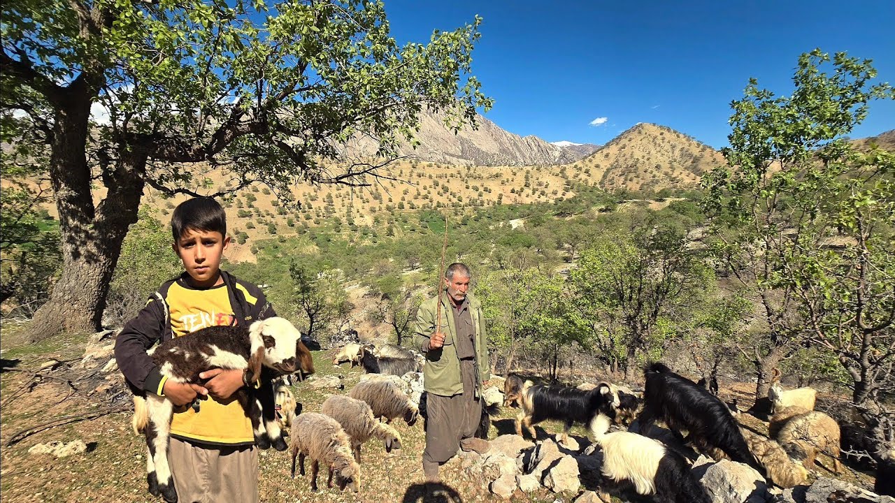 Ramin Meets His Grandfather and Herds Sheep in the Stunning Landscapes of the Zagros Mountains
