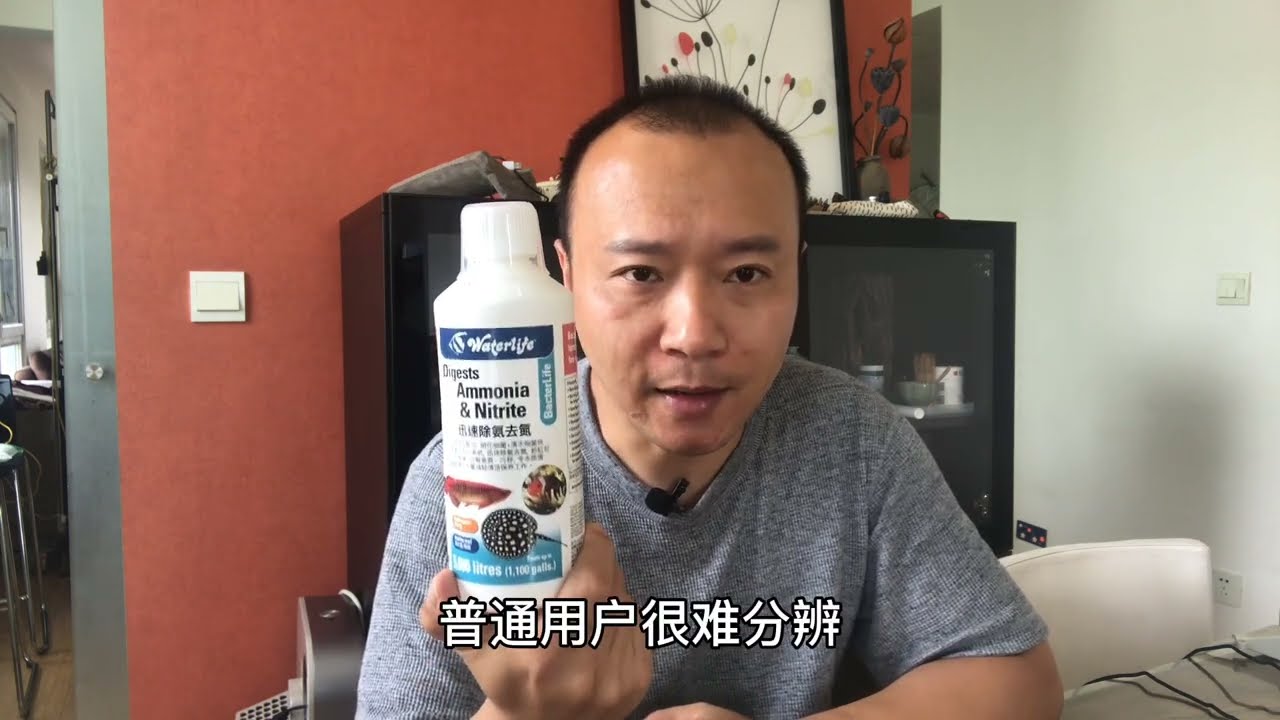 #14 如何治疗观赏鱼水霉病？从药物治疗到生物治疗（新鲜事）