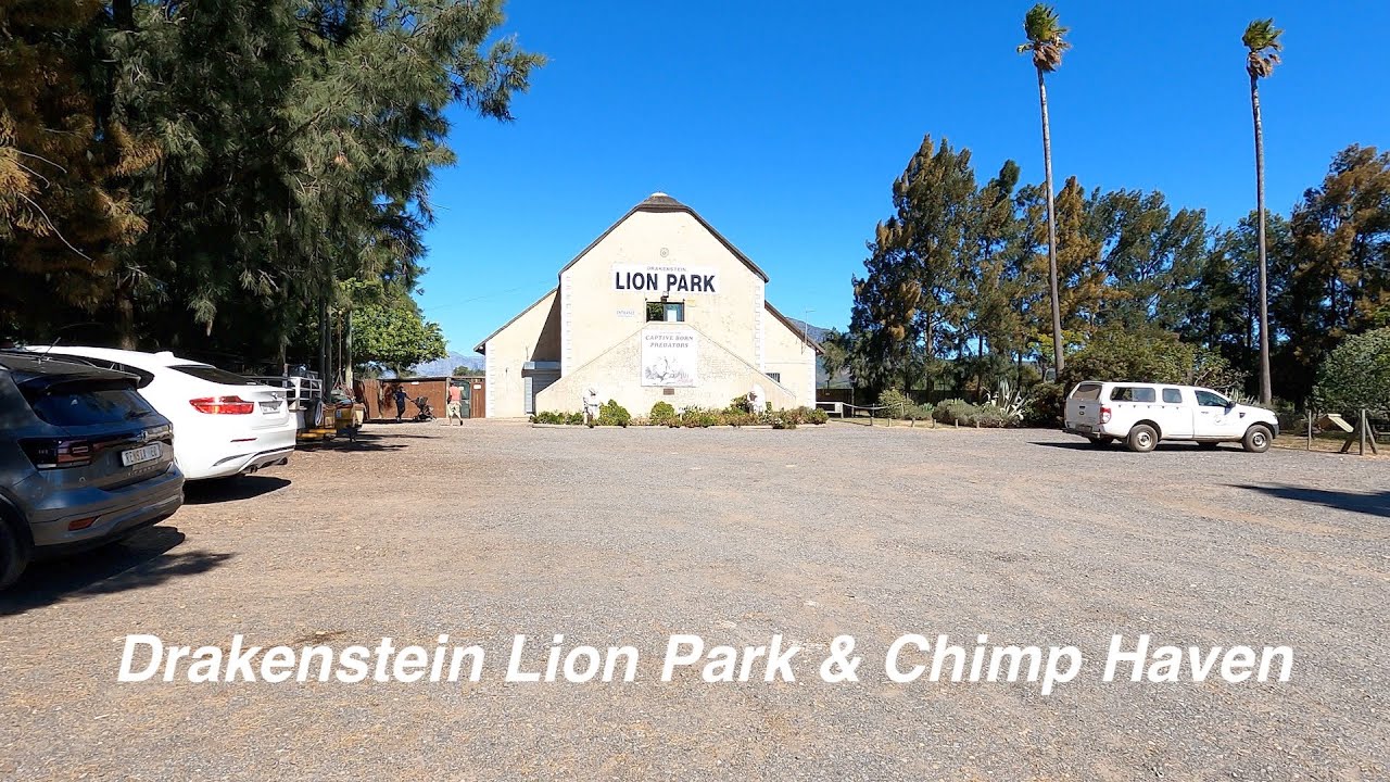 What's at the Drakenstein Lion Park & Chimp Haven