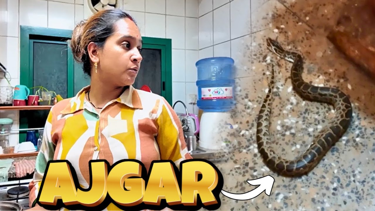 GHAR MAI GHUS AAYA AJGAR 🐍 Indian Working Mom in Dubai Vlog