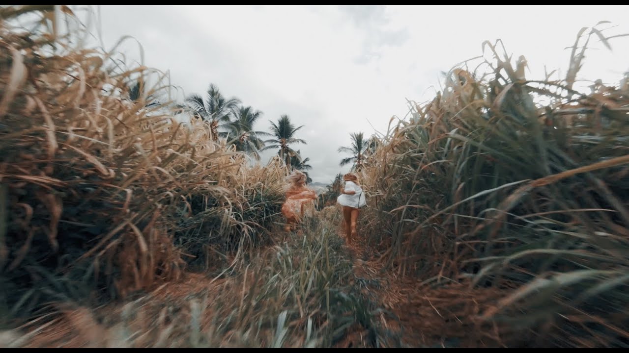 2019 - THE YEAR OF FPV
