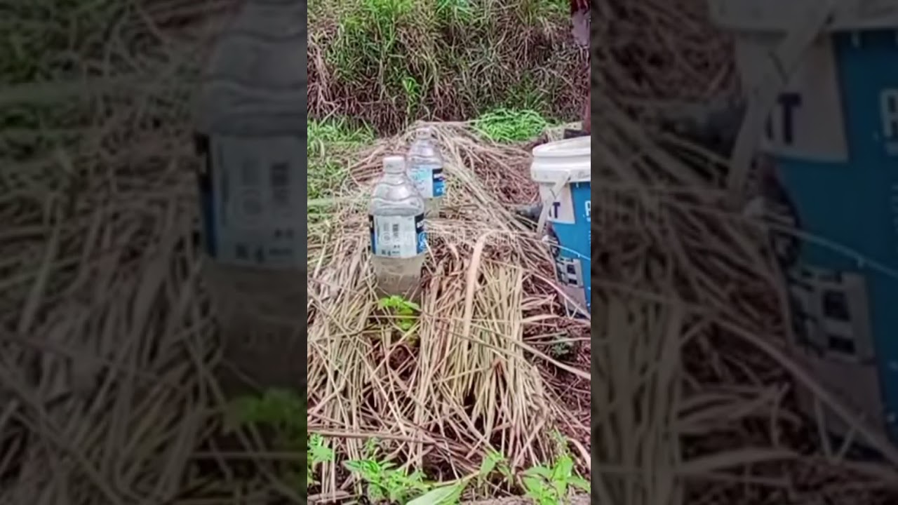 cara membuat irigasi tetes dari botol bekas