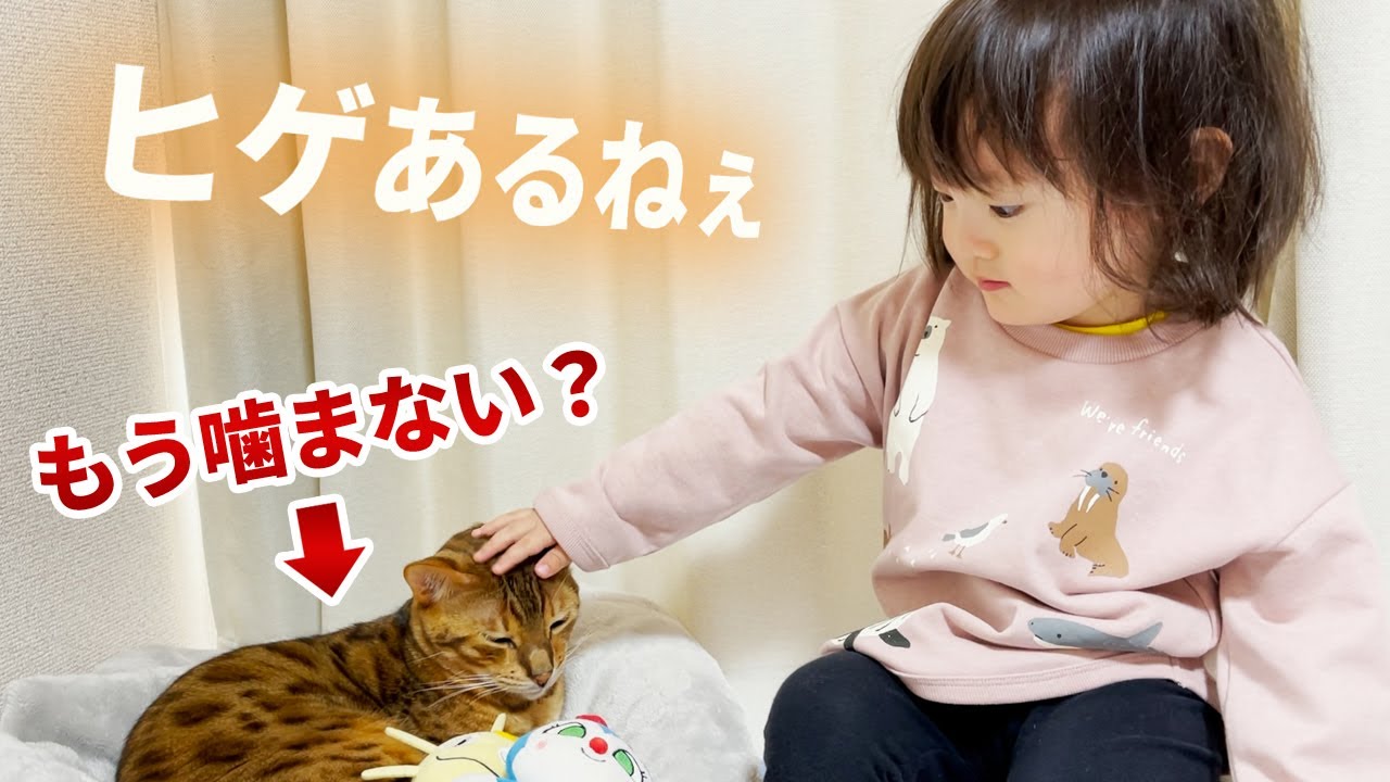猫を撫でながらパパと不思議な会話をする2歳娘
