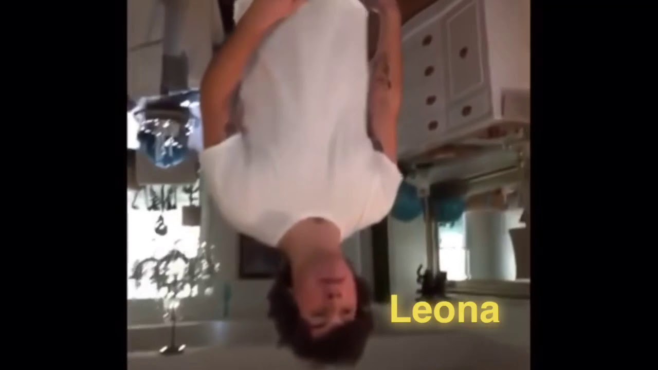 Twisted Wonderland as Vines