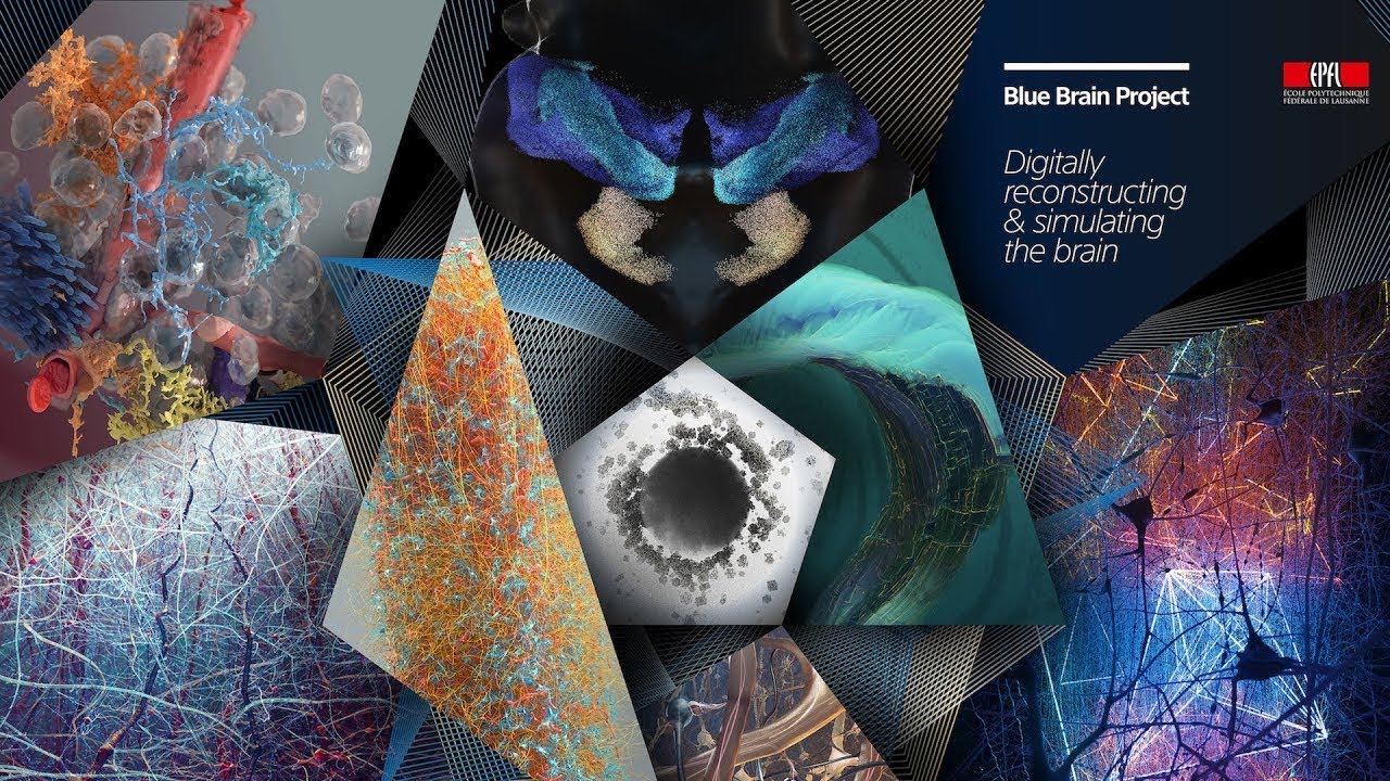 The Challenges of Modern Scientific Illustration