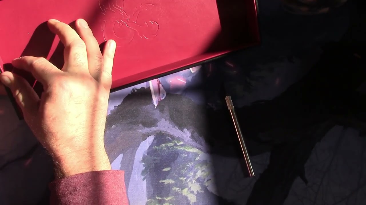 Dice Tray Dungeons & Dragons Tray of Rolling Black & Red Unboxing