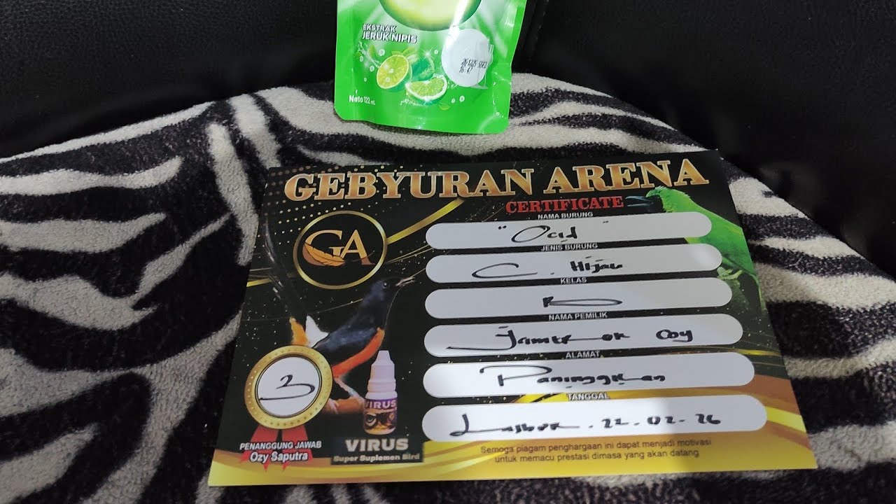 Ocid mulai mau bunyi gebyuran arena
