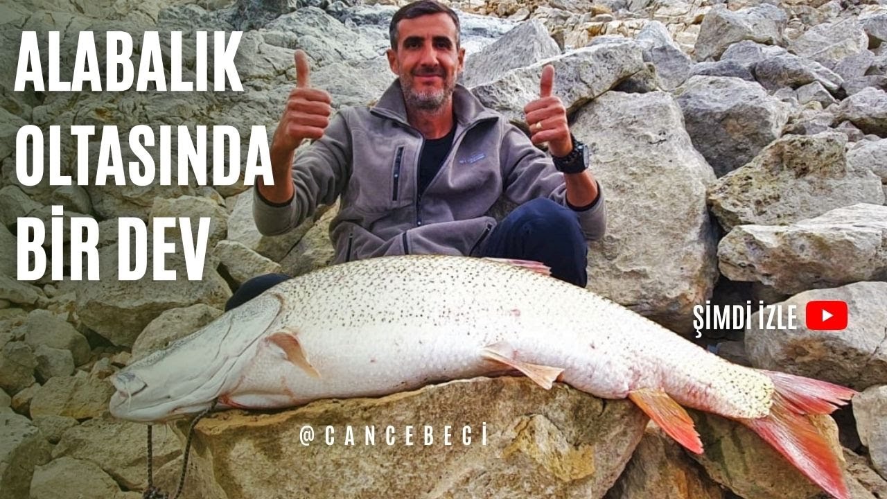 Büyük Balık Avı-  Alabalık Takımında Bir Dev- Fırat Turnası Avı