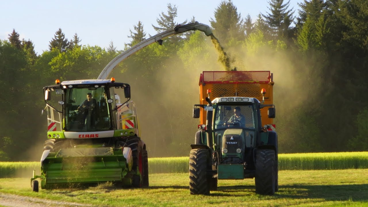 1. Schnitt 2014 | Gras häckseln mit Claas Jaguar 960