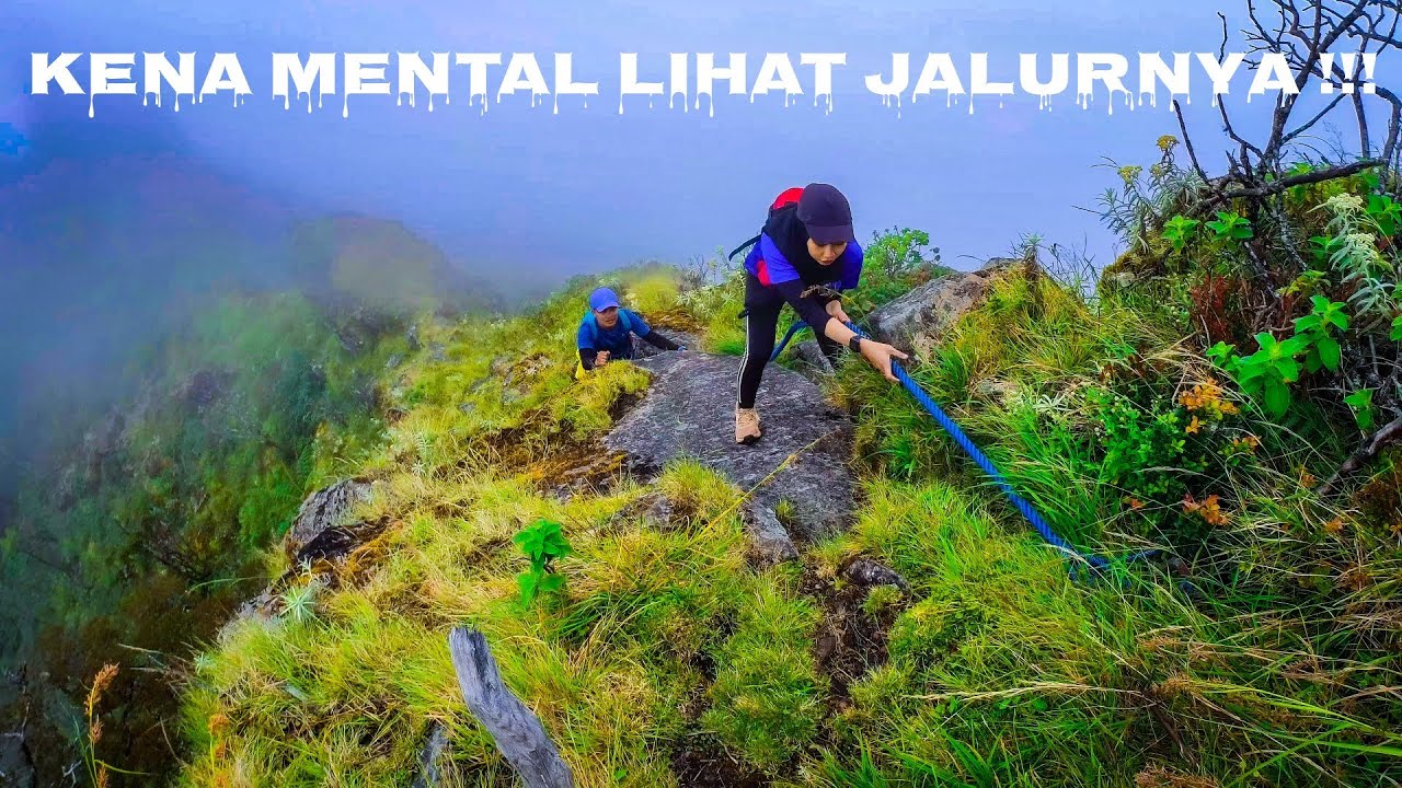 Tektok Lintas Bulu Baria - Lompobattang #2