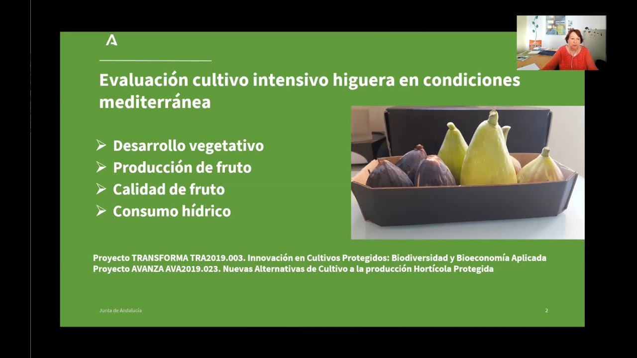 Cultivo de la higuera en invernadero - Webinar 06may2021