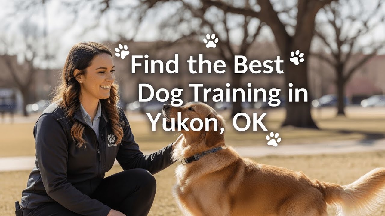 Find the Best Dog Training in Yukon Oklahoma