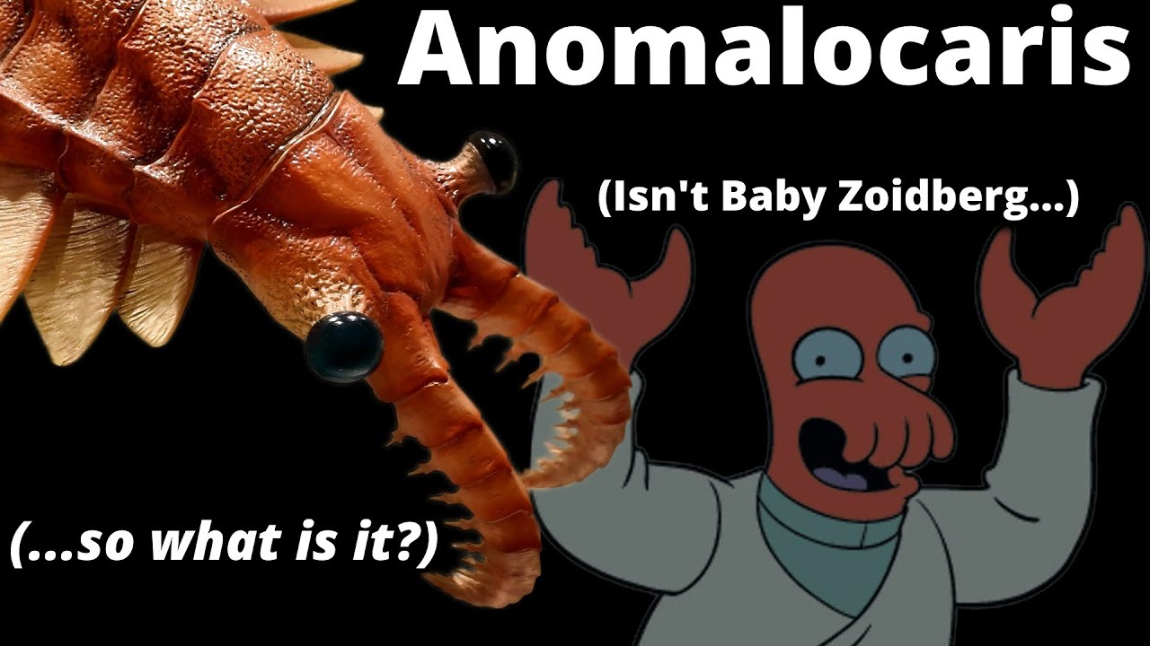 OK, Anomalocaris isn't exactly 
