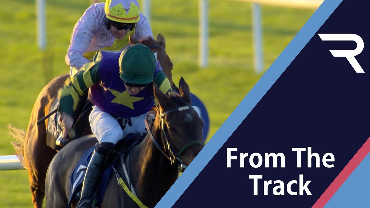 The Model Kingdom wins for Navan chairman Noel Meade as the track celebrates 100th birthday