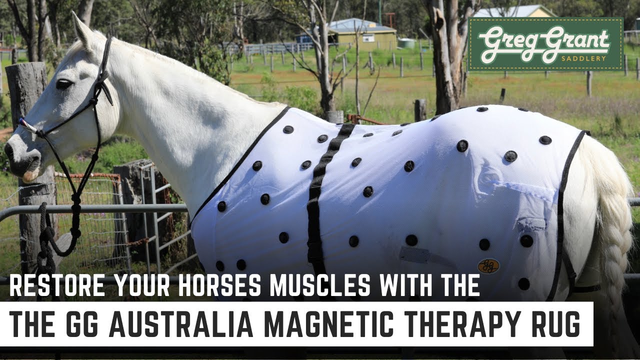 Restore Your Horses Muscles with the GG Australia Magnetic Therapy Rug - Greg Grant Saddlery