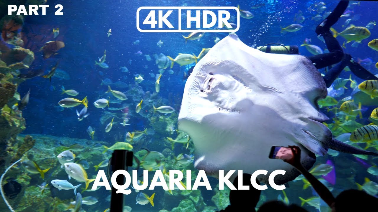 【4K HDR】PART 2 | AQUARIA KLCC | KLCC | KUALA LUMPUR | SONY A7III