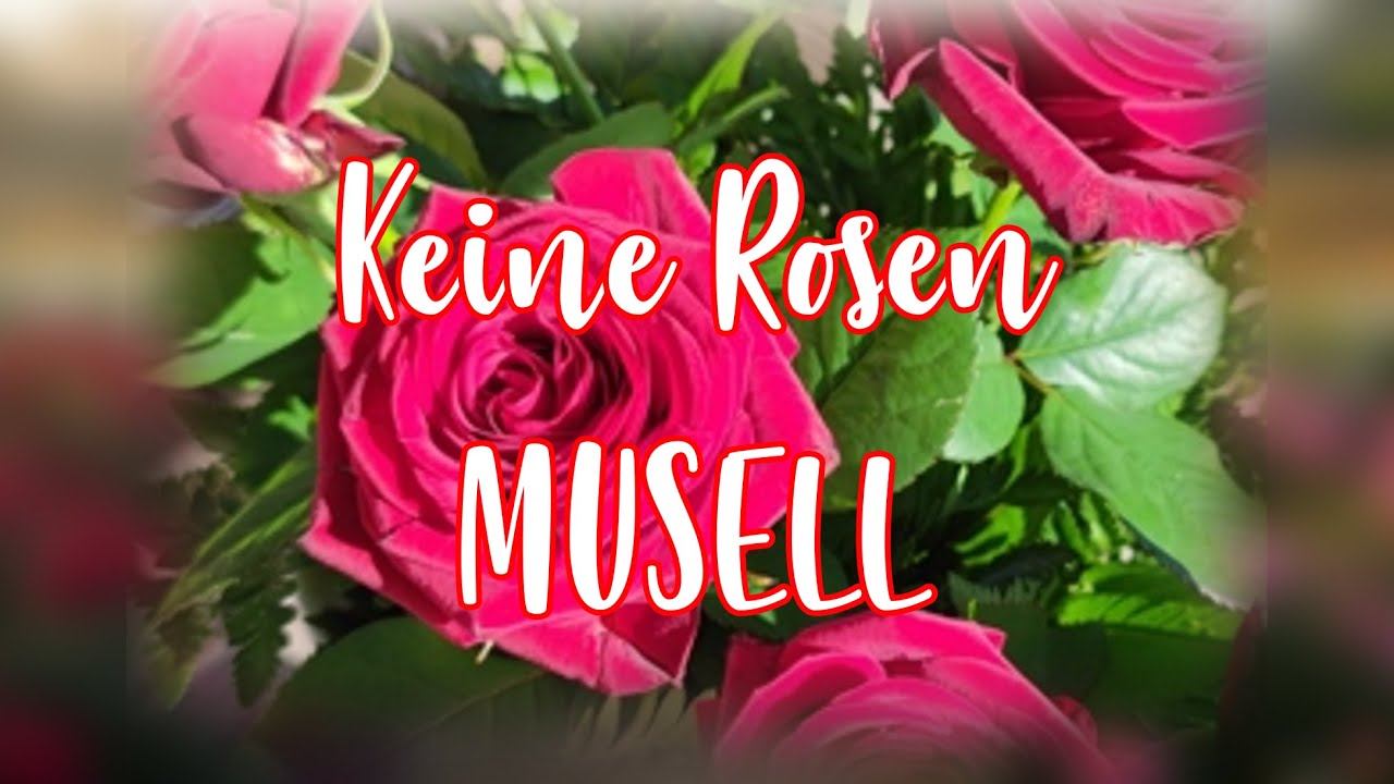 MUSELL - Keine Rosen (Offizielles Video zur Single