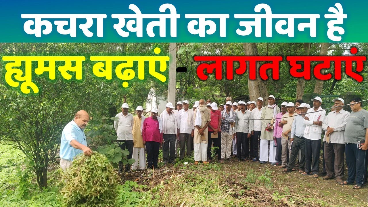 "ह्यूमस" का यह सच है, समस्याओ से मुक्ति दिला देगा