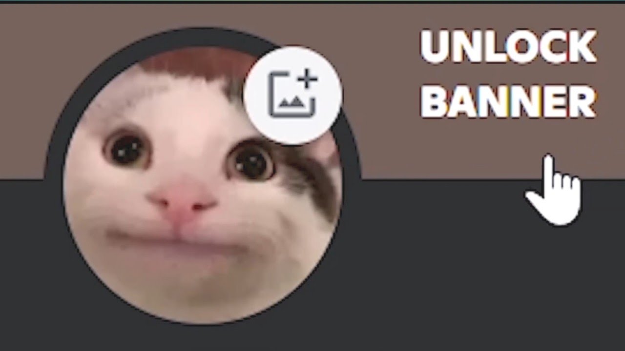 When You Use 39000 IQ (COMPILATION)