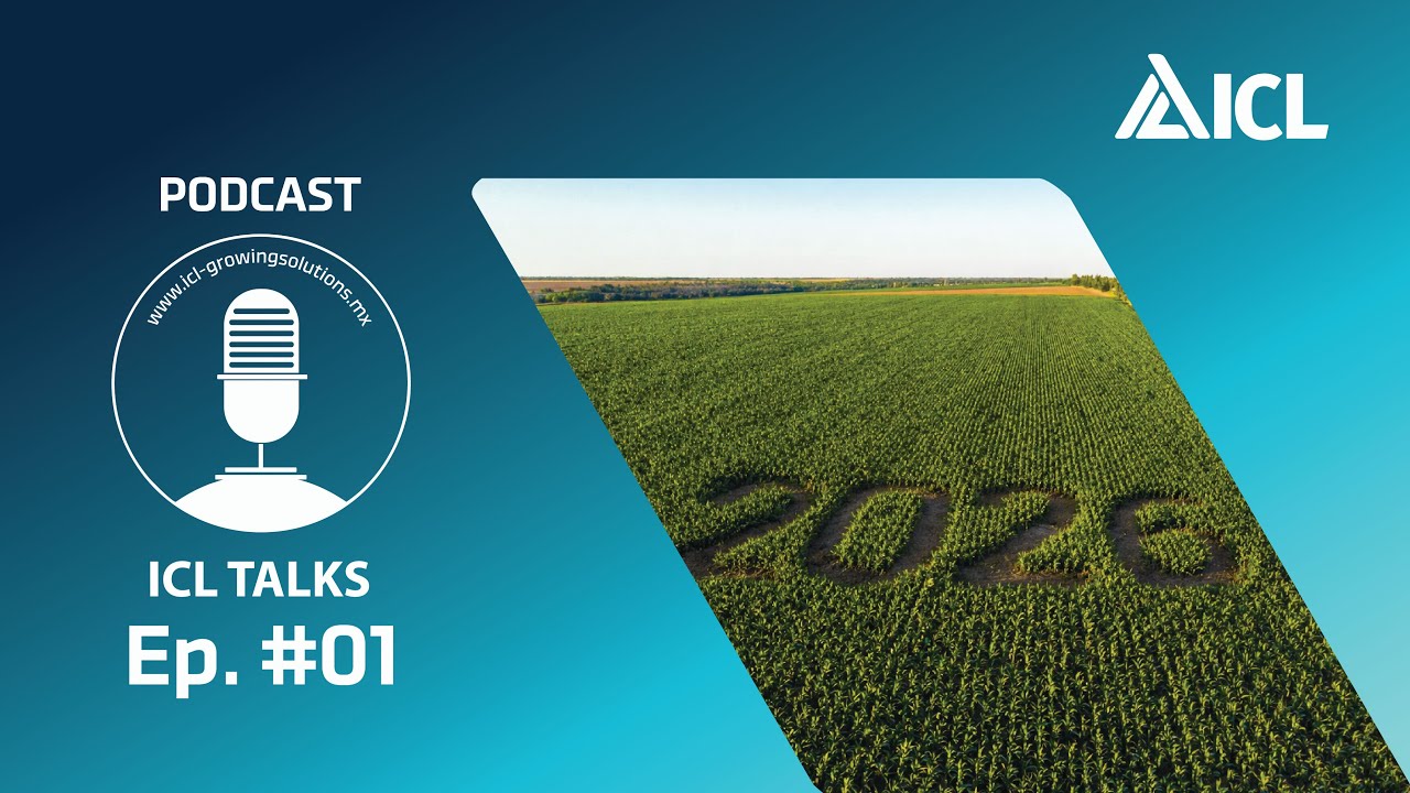 ICL TALKS  Ep. 01: ¿Cómo iniciar el año 2026 con una estrategia de nutrición vegetal?
