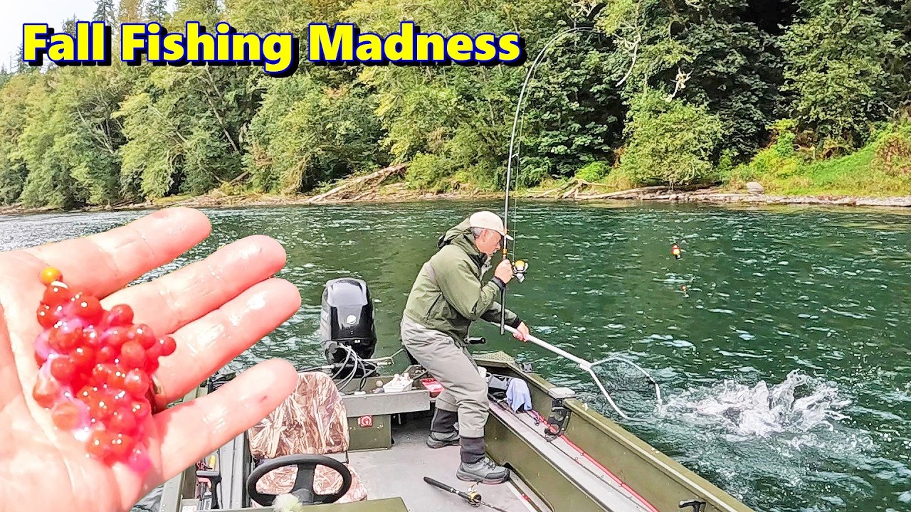 Fall Chinook & Coho Madness