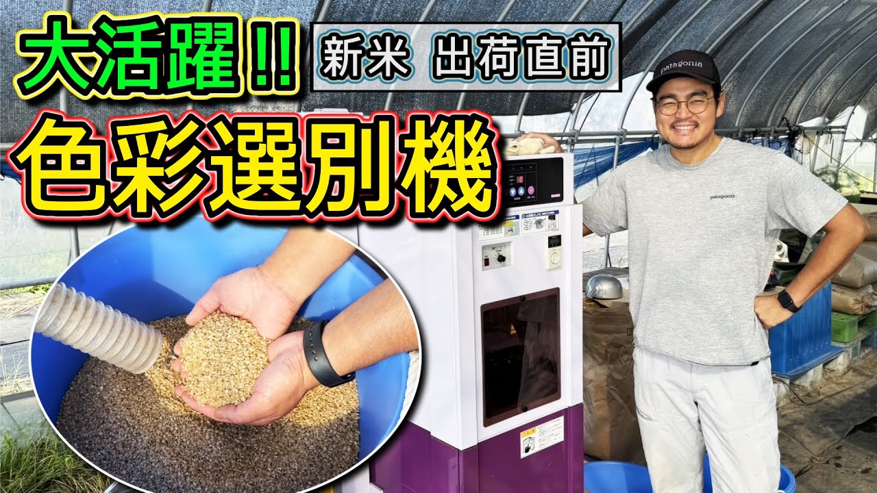 大活躍！色彩選別機