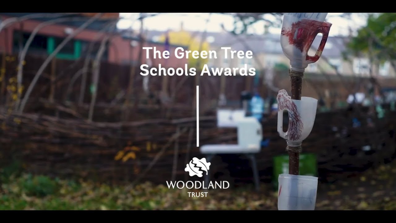 Celebrating 10 years of the Green Tree Schools Award