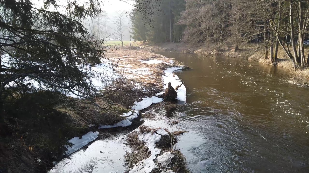 Von der Oberbaumühle zum Waldfrieden