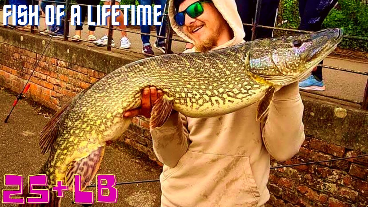 I Caught a PIKE of a LIFETIME! ( 25.6Lb Pike)