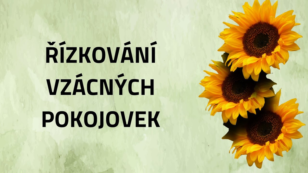 63 Řízkování vzácných pokojovek