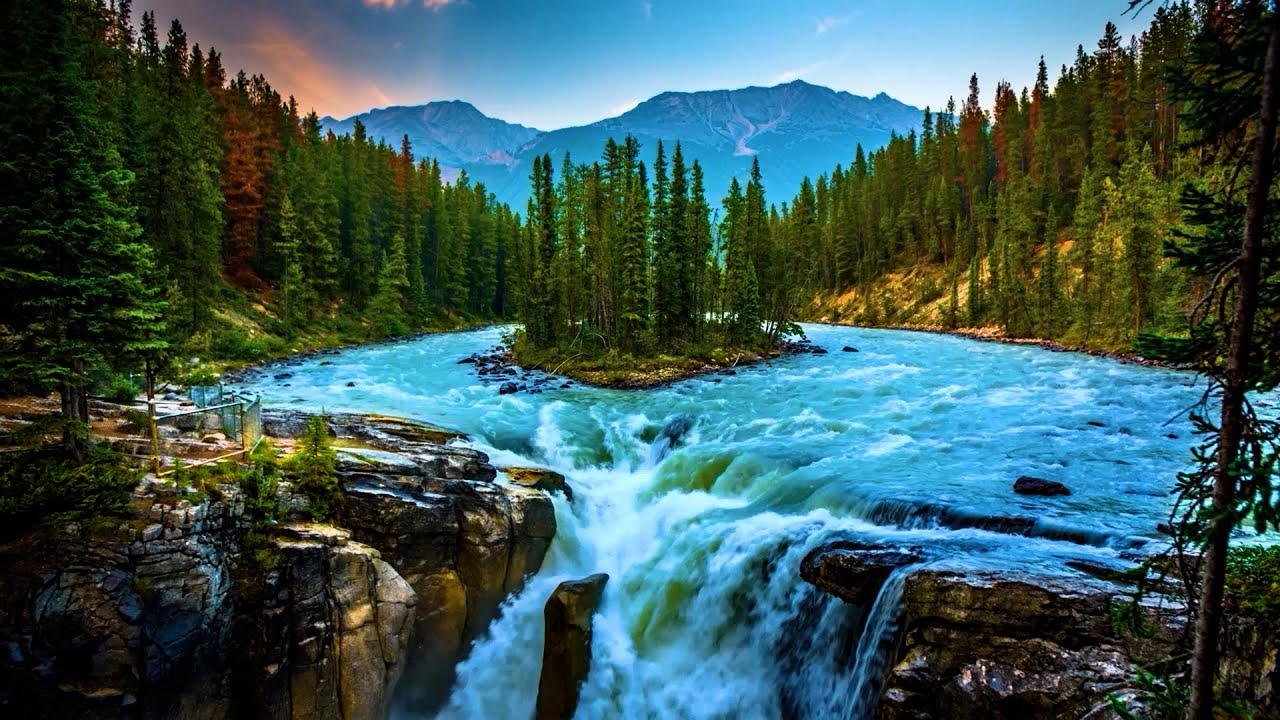 Waterfall Sleep Sounds: 8 Hours of Forest River Relaxation for Deep Rest 🌲💧💤