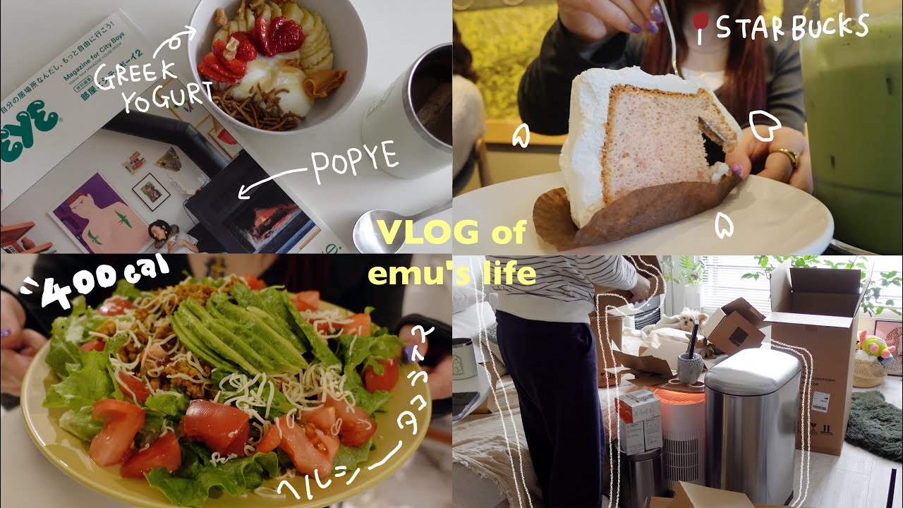 VLOG/1人行動をする休日,引越しに向けて新調した物📦ヘルシータコライス🥑