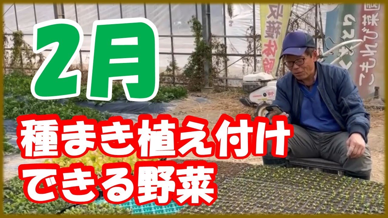 AIは正しくない！AI任せの家庭菜園は危険？2月の種まきを検証
