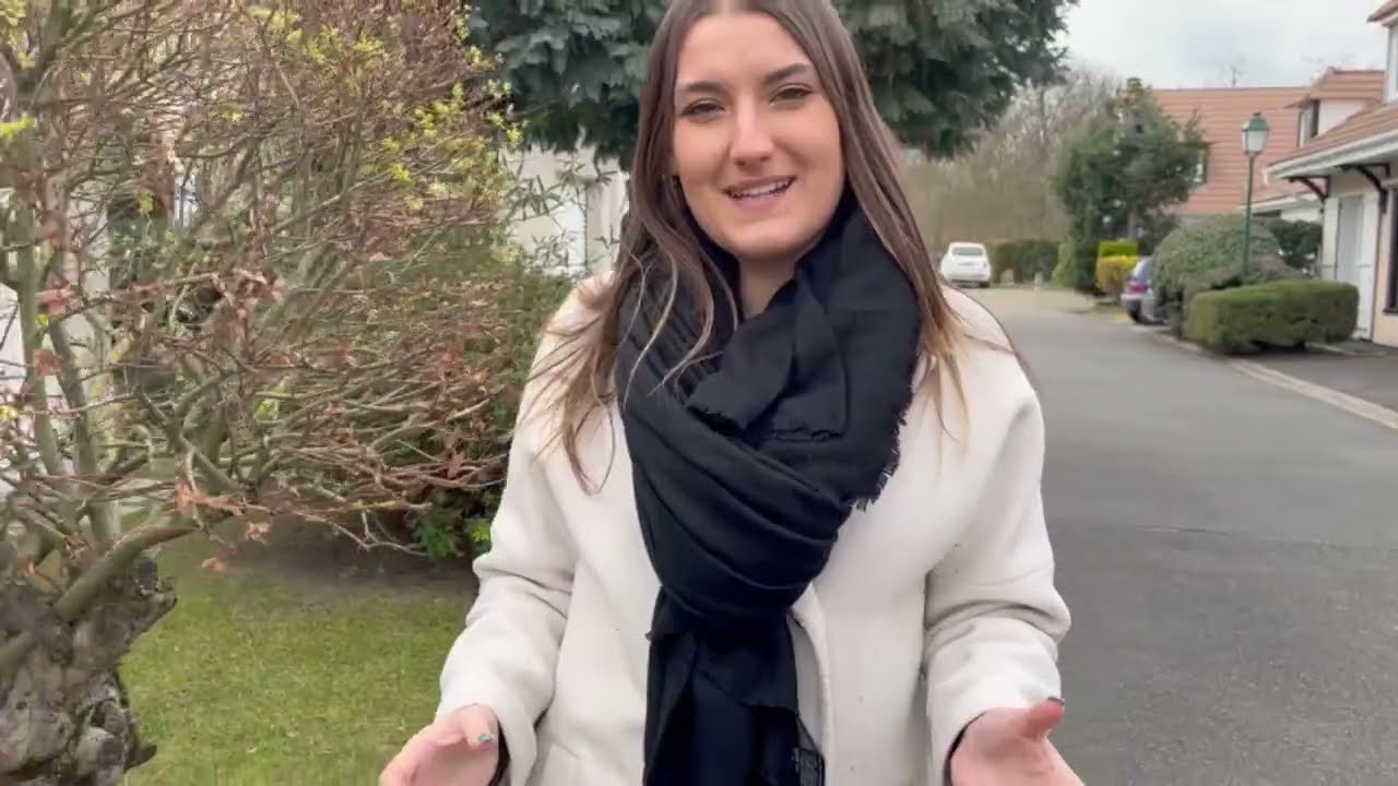 Vente maison FRANCONVILLE (Val d'Oise 95) - Visite guidée