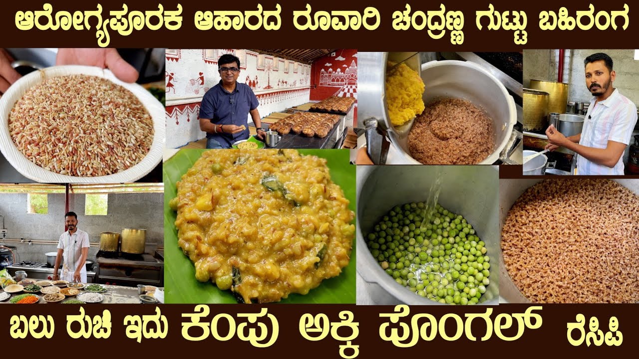 Halli Hatti KEMPU AKKI PONGAL a healthy method by Sri Chandranna with his special SECRET TIPS